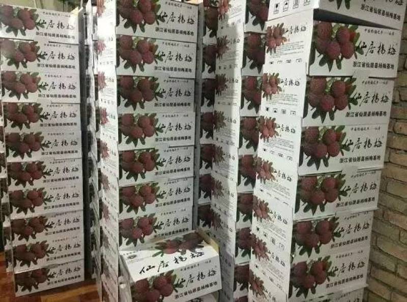 仙居杨梅，正宗仙梅选购