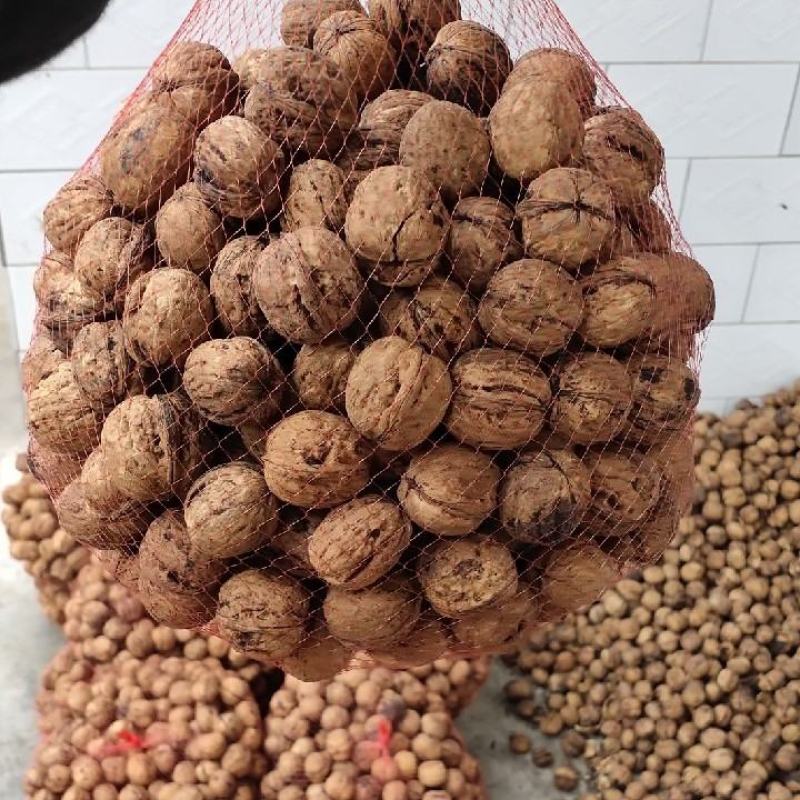 山核桃【零批】太行山老树厚皮棉核桃，无漂白5斤包邮