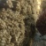 白玉网袋山药，白玉山药好段子