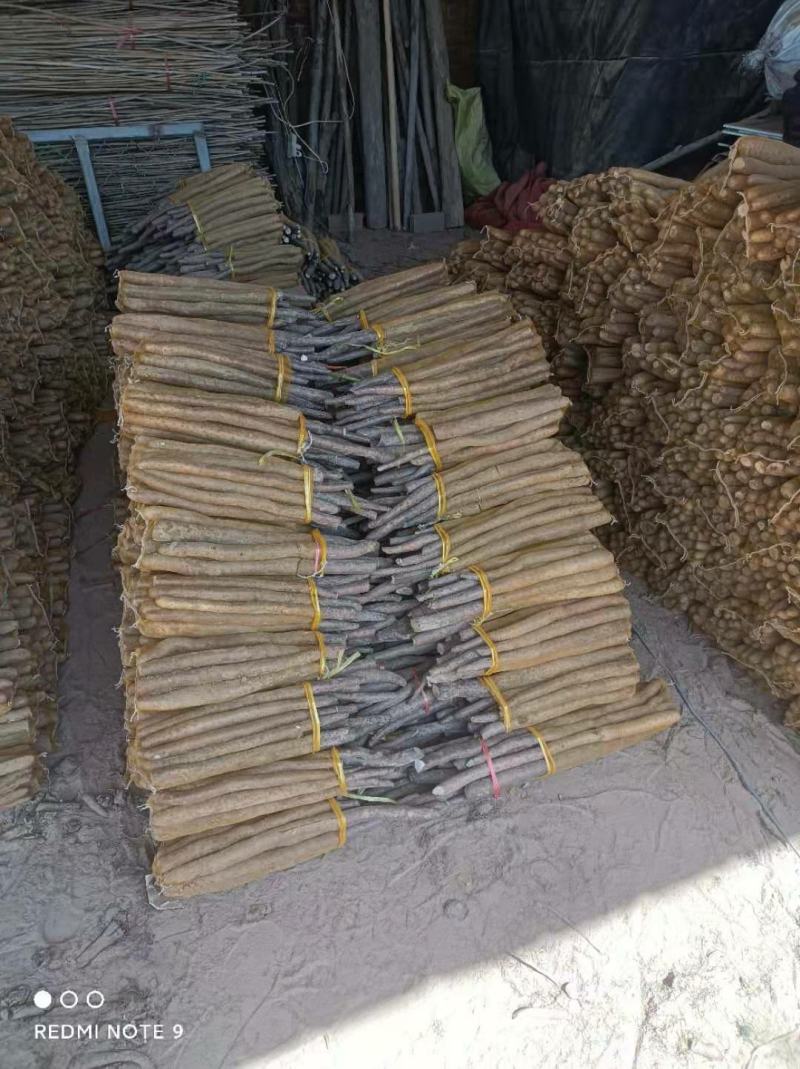 白玉网袋山药，白玉山药好段子