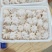 八爪鱼章鱼去脏翻花甜脆爽口鲜香美味