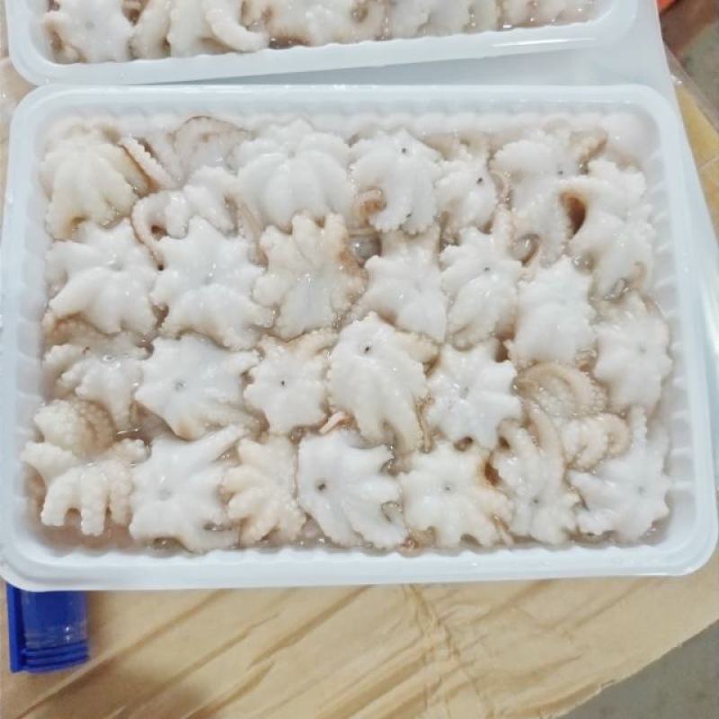 八爪鱼章鱼去脏翻花甜脆爽口鲜香美味
