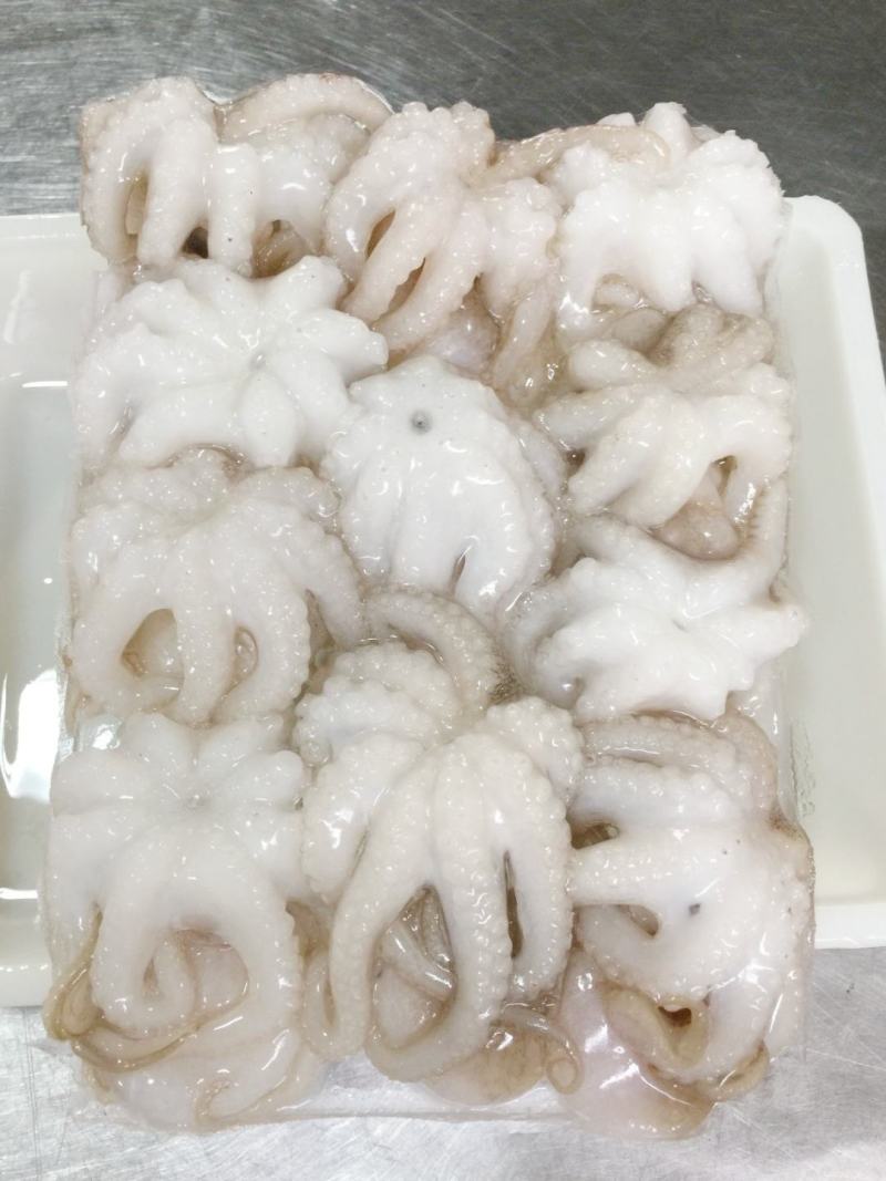 八爪鱼章鱼去脏翻花甜脆爽口鲜香美味