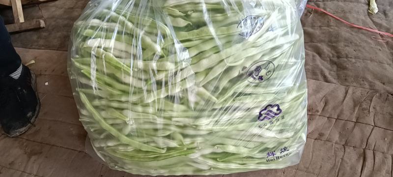 山东临沂优质大棚芸豆产地批发量大价优