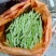 山东临沂优质大棚芸豆产地批发量大价优
