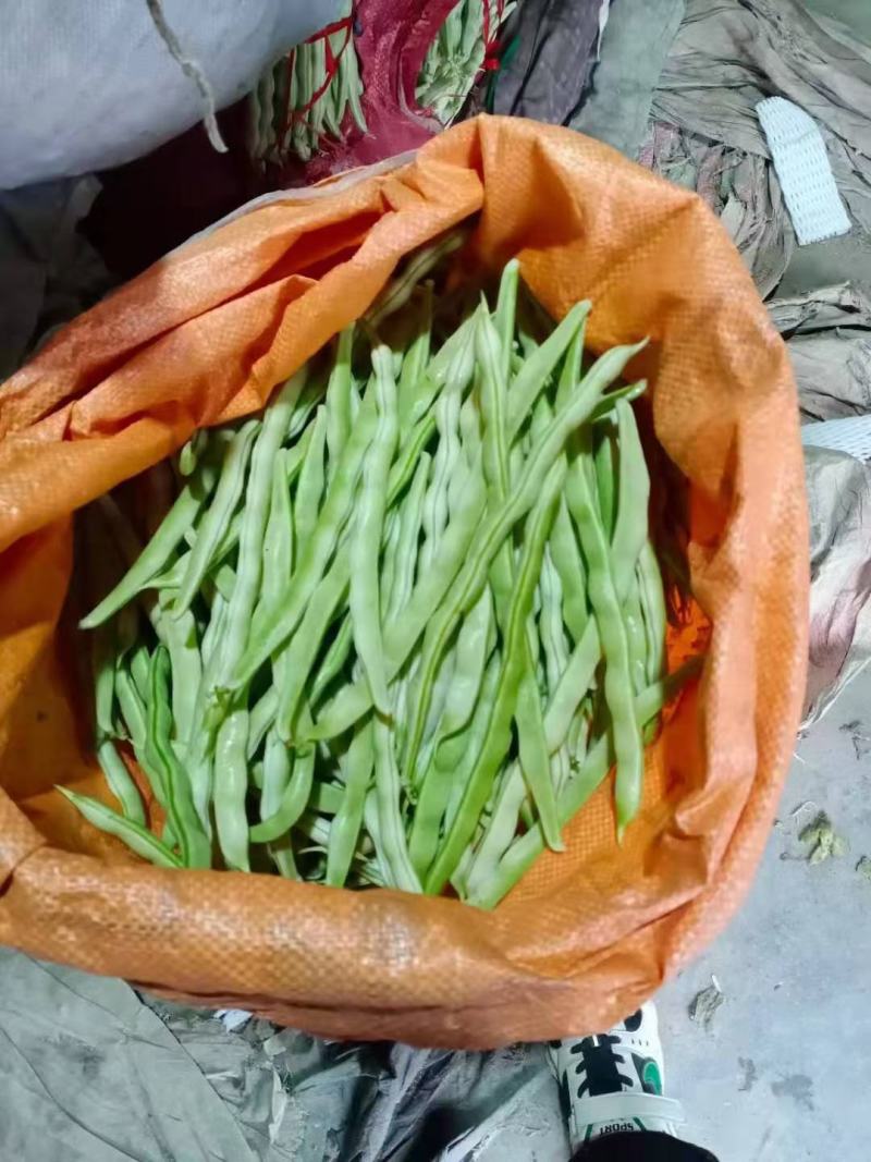 山东临沂优质大棚芸豆产地批发量大价优