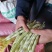 山东临沂优质大棚芸豆产地批发量大价优
