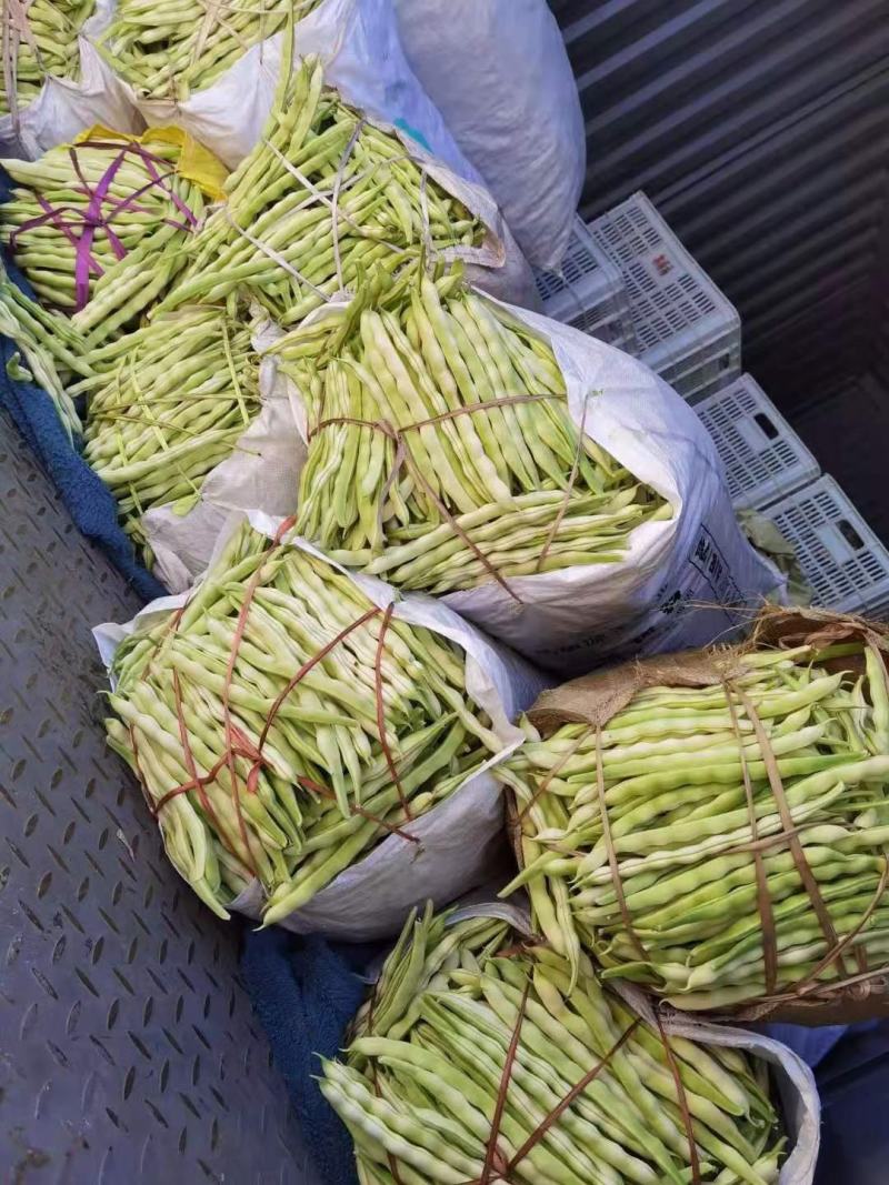 山东临沂优质大棚芸豆产地批发量大价优