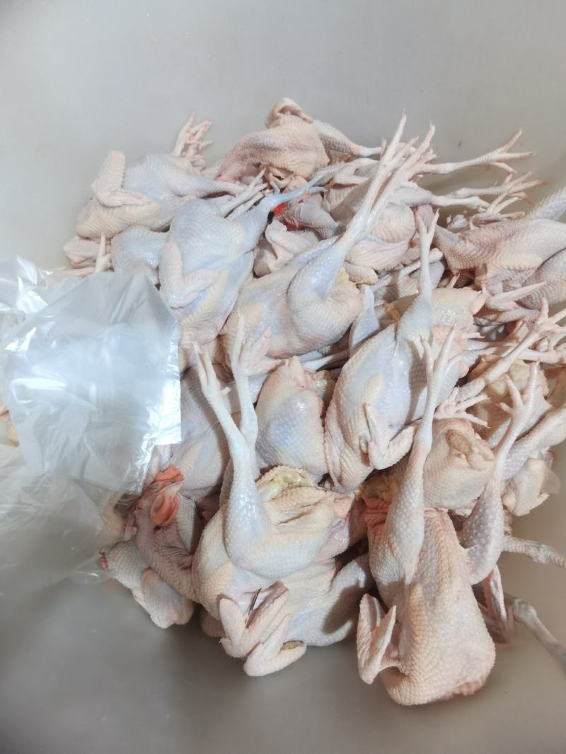 海南正苗回笼文昌鸡新鲜宰杀明天新鲜配送！