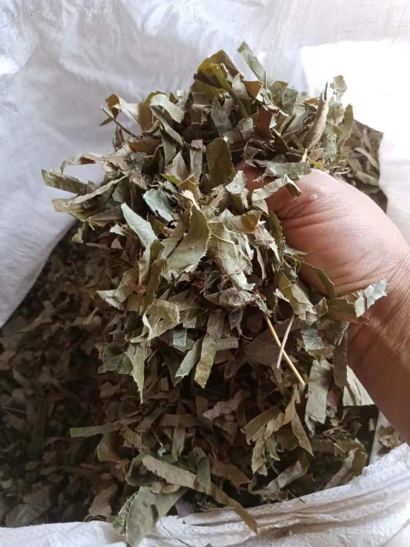 淫羊藿野生中药材大别山野生中药材批发零售