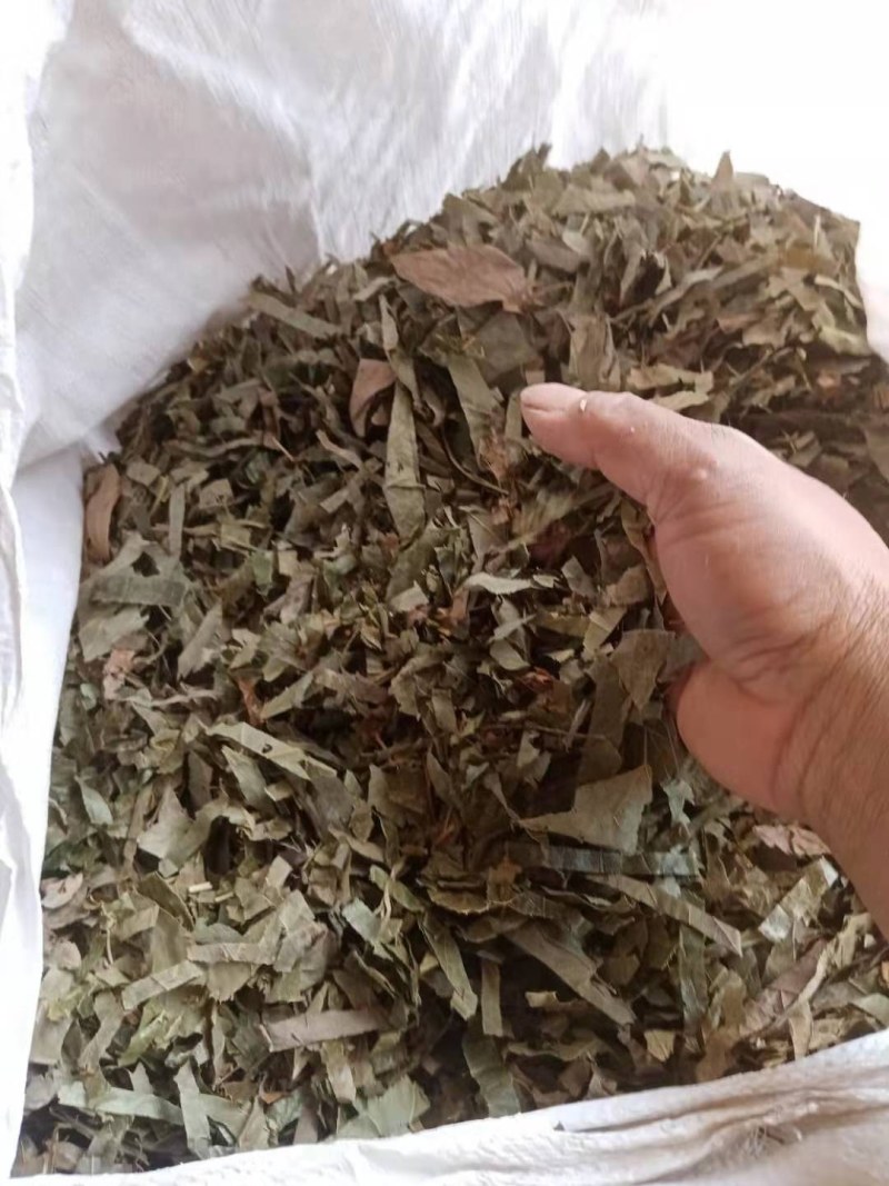 淫羊藿野生中药材大别山野生中药材批发零售