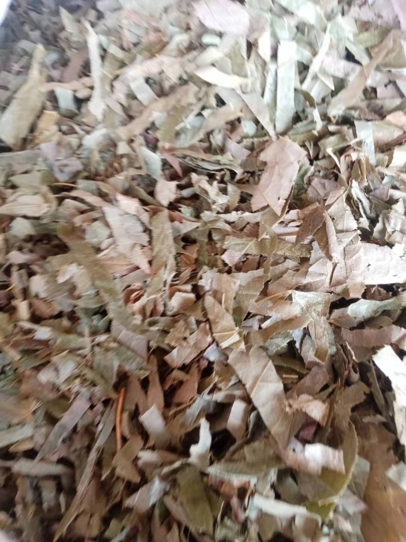 淫羊藿野生中药材大别山野生中药材批发零售