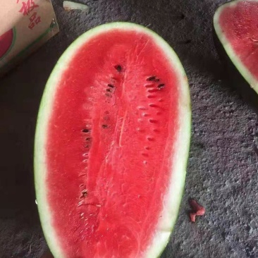 黑美人~云南西瓜大量上市中