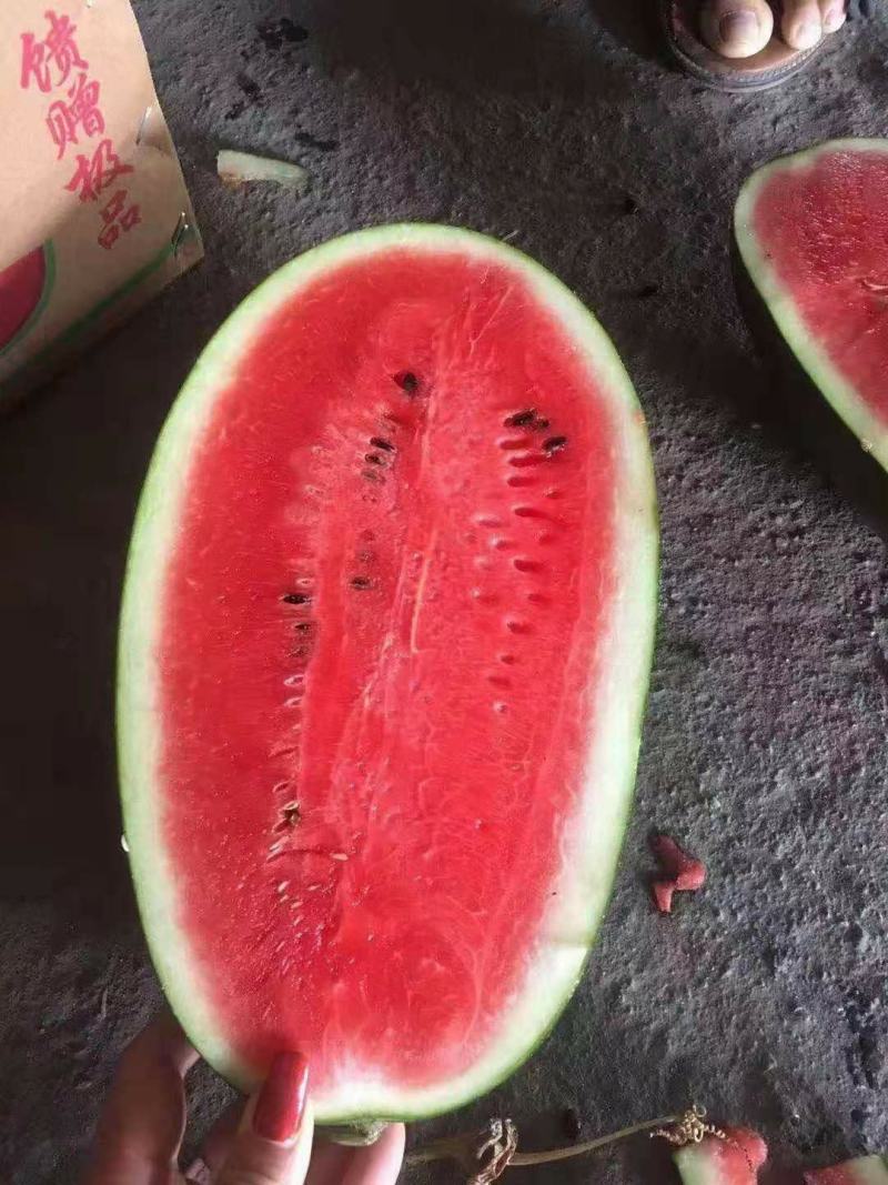 黑美人~云南西瓜大量上市中
