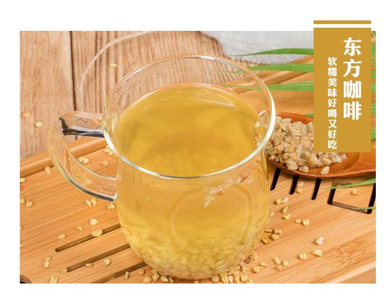 正品苦荞茶荞麦茶三高养生茶黄金苦荞茶四川大凉山