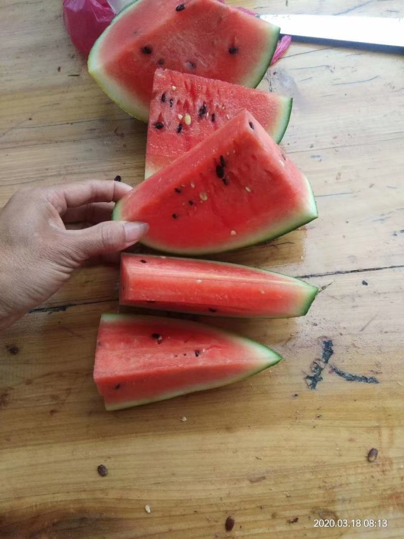 热品甜王西瓜现已大量上市了。需要的请抓紧时间联系我！