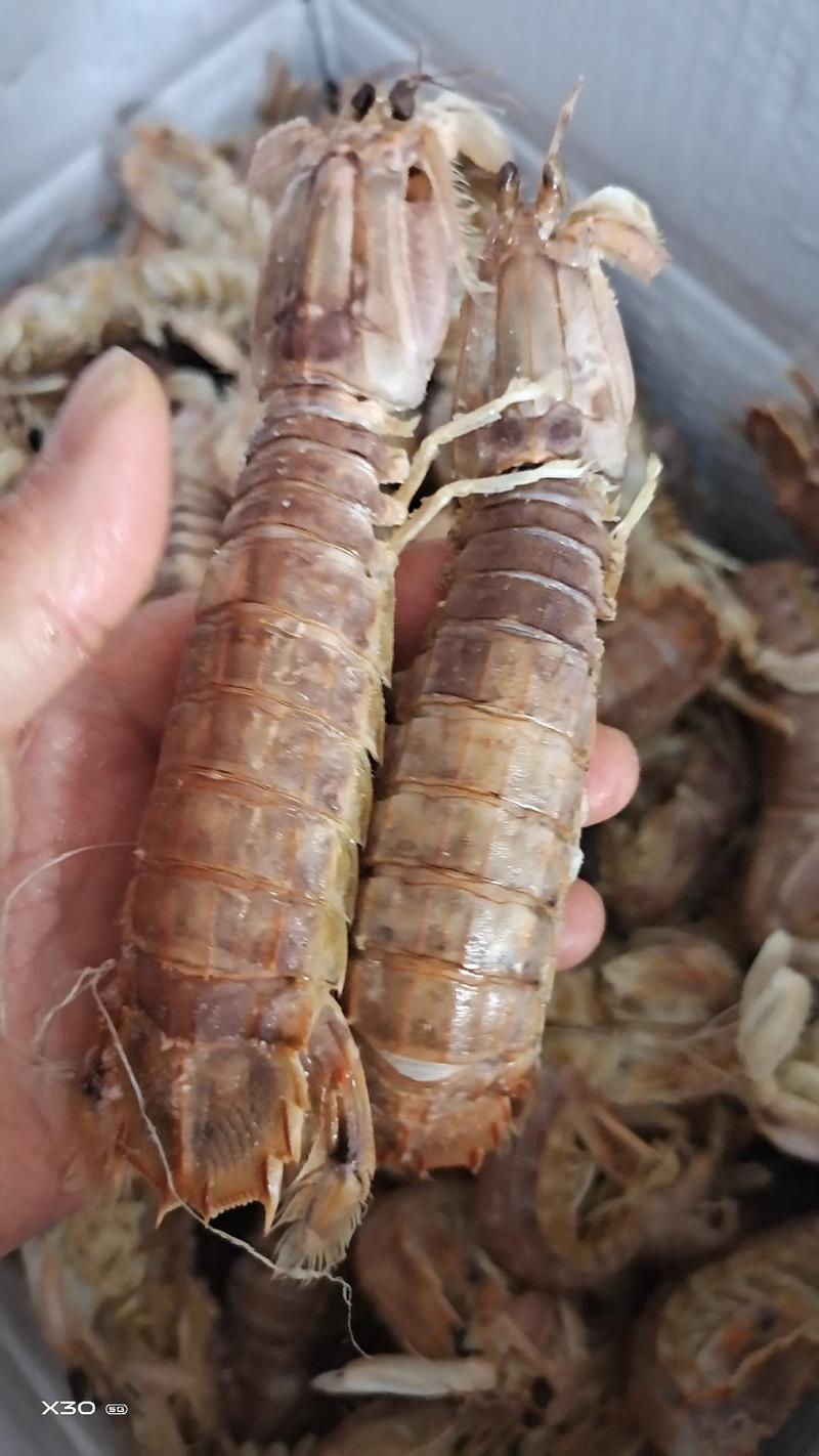 渤海湾琵琶虾爬虾熟冻品当地货有肉一手货源网红电商专卖