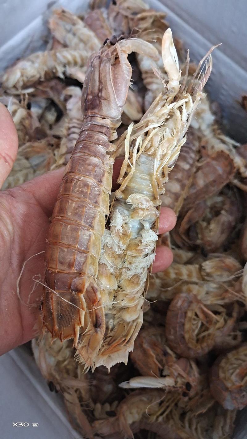 渤海湾琵琶虾爬虾熟冻品当地货有肉一手货源网红电商专卖