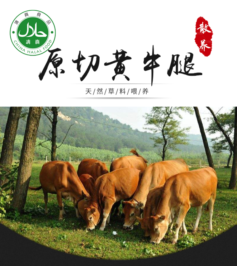 1国产原切4斤黄牛腱子牛腿肉牛腩新鲜现切速冻包邮