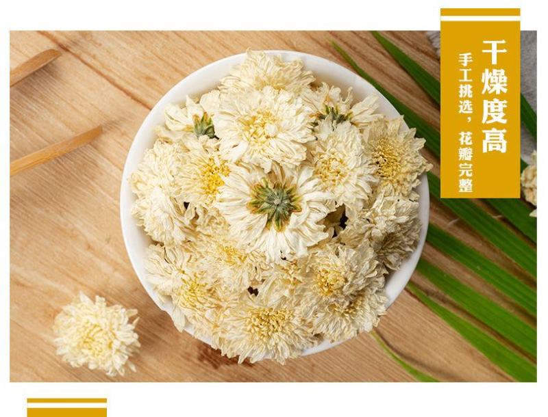 菊花茶白菊花贡菊花养生茶黄山正品正宗黄山贡菊七月菊花