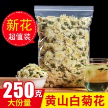 菊花茶白菊花贡菊花养生茶黄山正品正宗黄山贡菊七月菊花