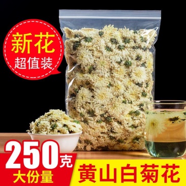 菊花茶白菊花贡菊花养生茶黄山正品正宗黄山贡菊七月菊花