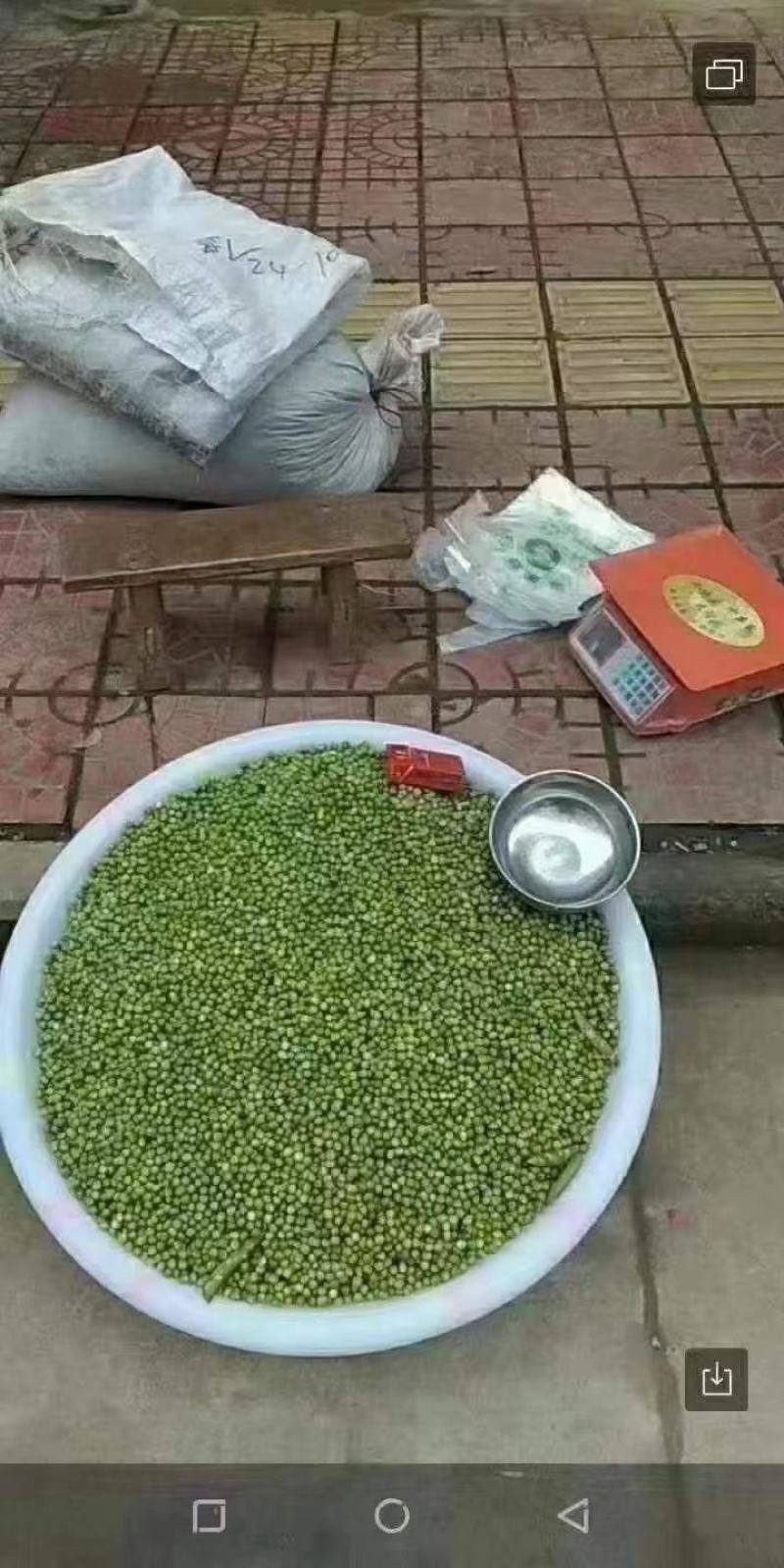 豌豆。豌豆米。煮的耙的干豌豆，。
