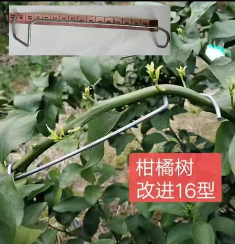 包邮果树拉枝器改进型开角器拉枝压枝定型器弯枝神器永德助
