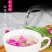 牡丹花茶丹凤整朵牡丹花球牡丹花花茶女人养妍茶
