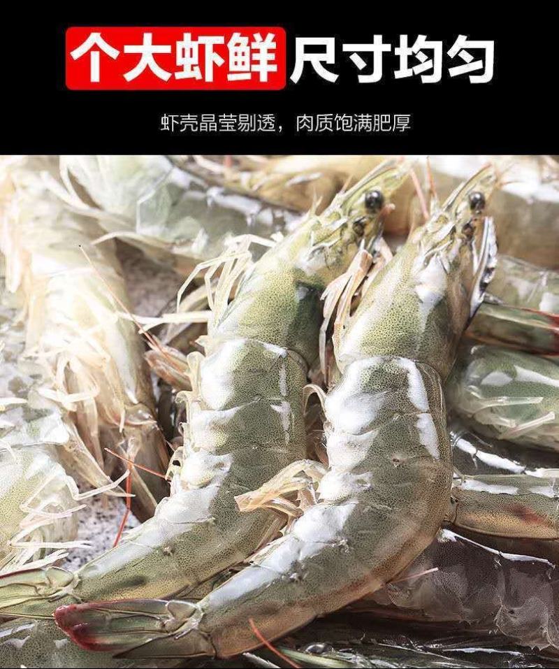 【会员专享】4斤一件国产海捕大虾海虾超大冻虾鲜虾活冻包邮