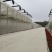 精品阳光玫瑰葡萄广州增城种植基地直供品质优良