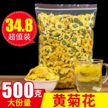 黄菊花茶养生茶散装黄菊花非贡菊七月菊花茶胎菊下火灭火花茶