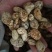 草果电烤草果碳烤草果剪把草果草果仁草果皮