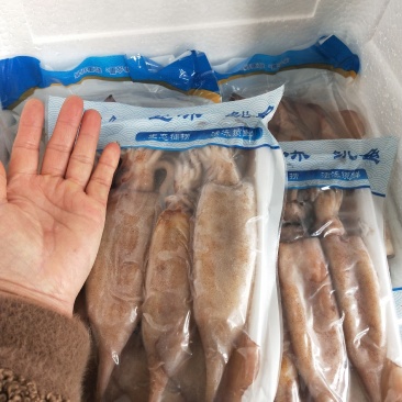 鱿鱼鲜冻品！船冻及时，1件10盒，10斤！饭店专用不包邮