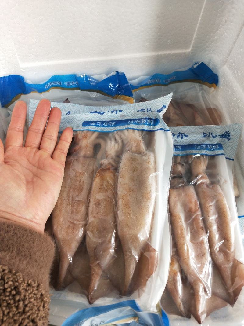 鱿鱼鲜冻品！船冻及时，1件10盒，10斤！饭店专用不包邮