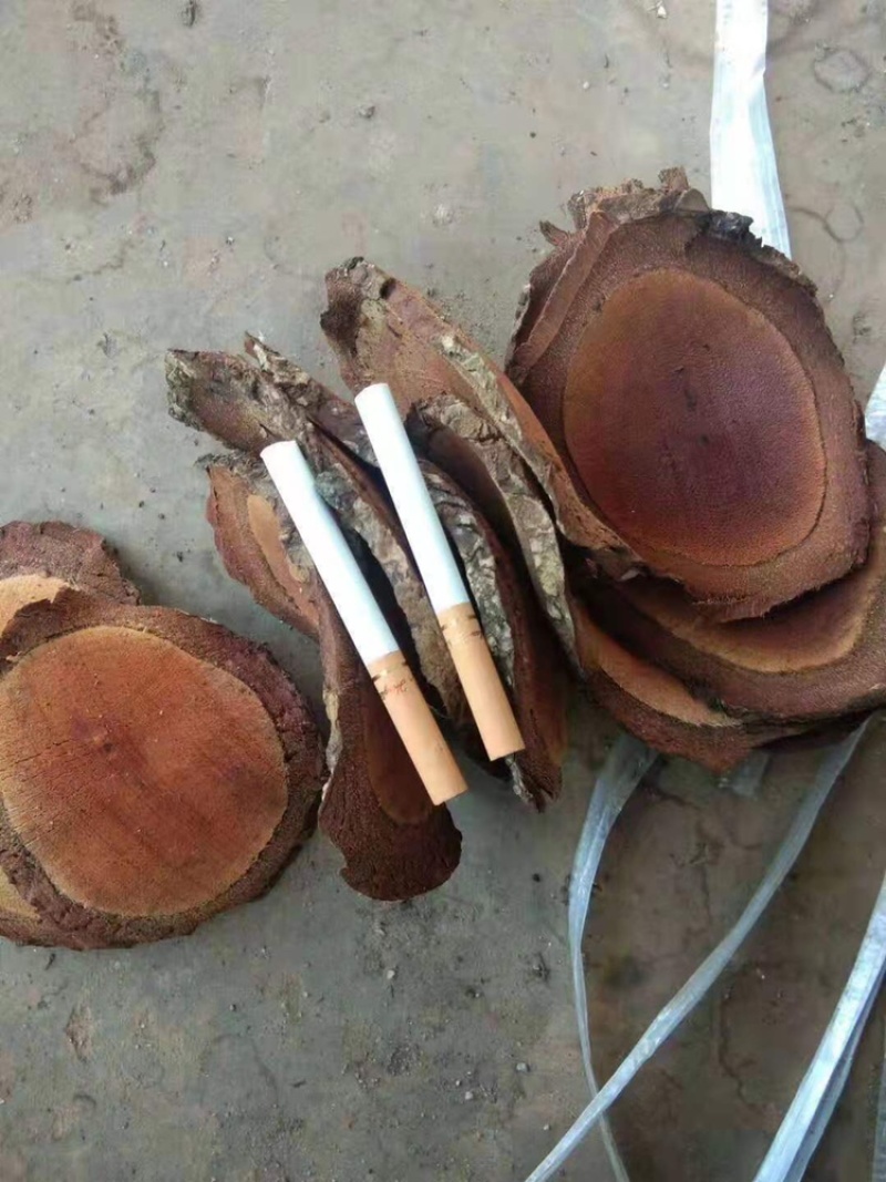 滇鸡血藤正品包含量过全检