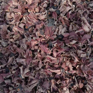 木棉花，正品，新货，干