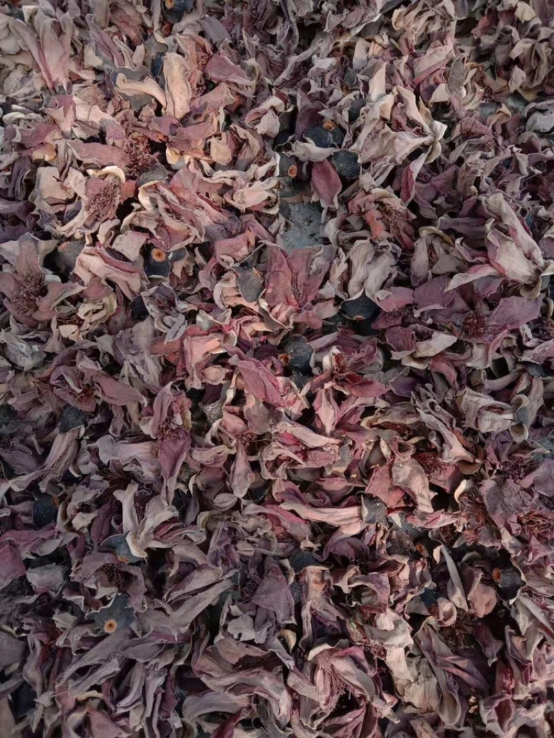 木棉花，正品，新货，干