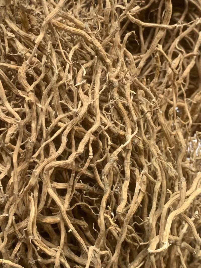 牛尾菜【包邮】三斤起发货可批量可零售量大从优