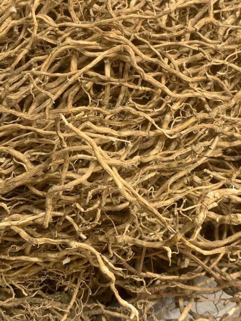 牛尾菜【包邮】三斤起发货可批量可零售量大从优