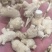西洋参粒头，质量品质嘎嘎好，自己修剪一手货，电联下单