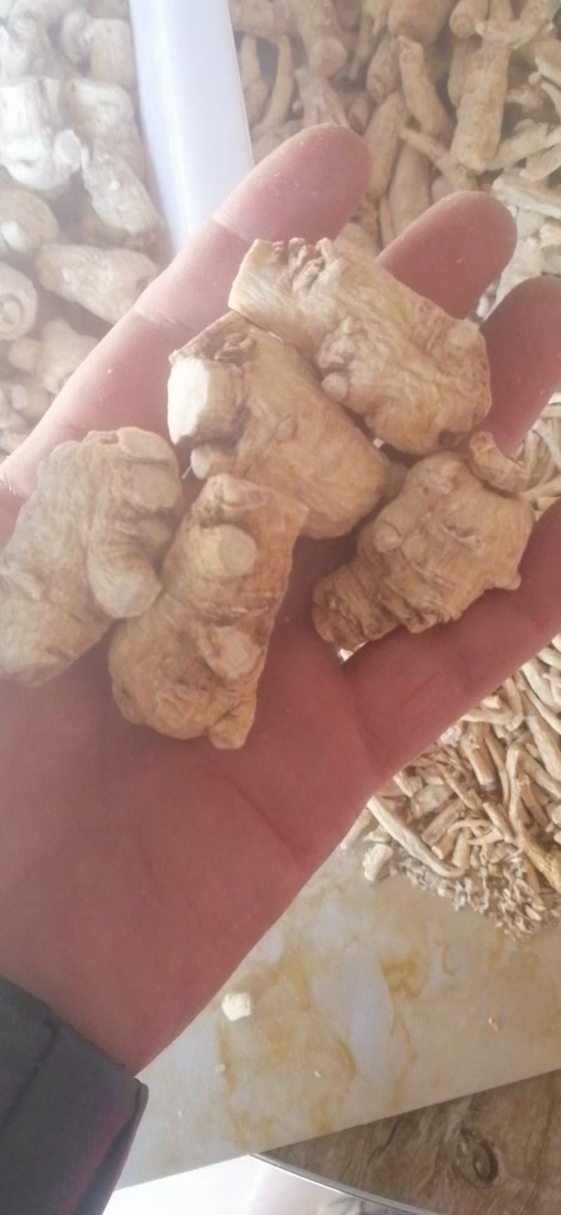 西洋参粒头，质量品质嘎嘎好，自己修剪一手货，电联下单