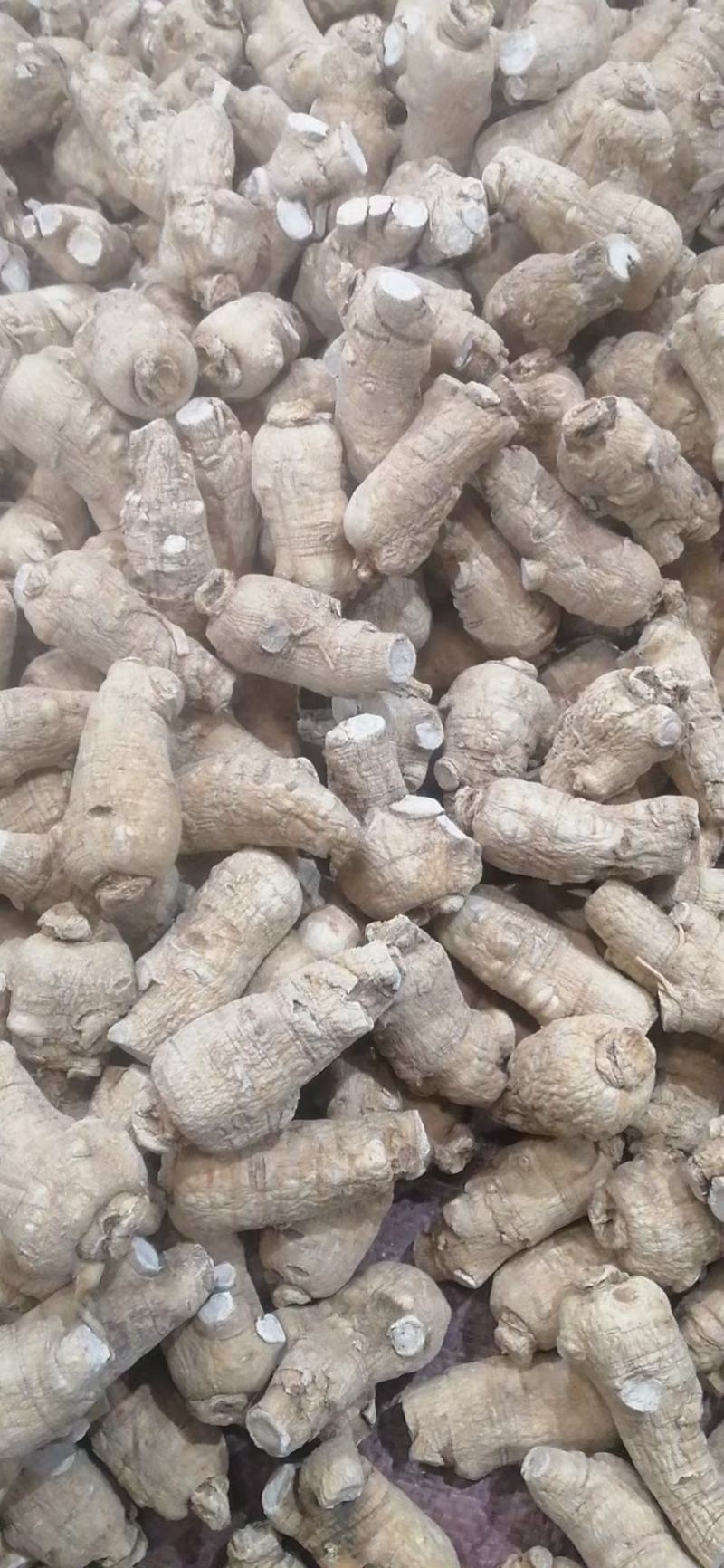 西洋参粒头，质量品质嘎嘎好，自己修剪一手货，电联下单