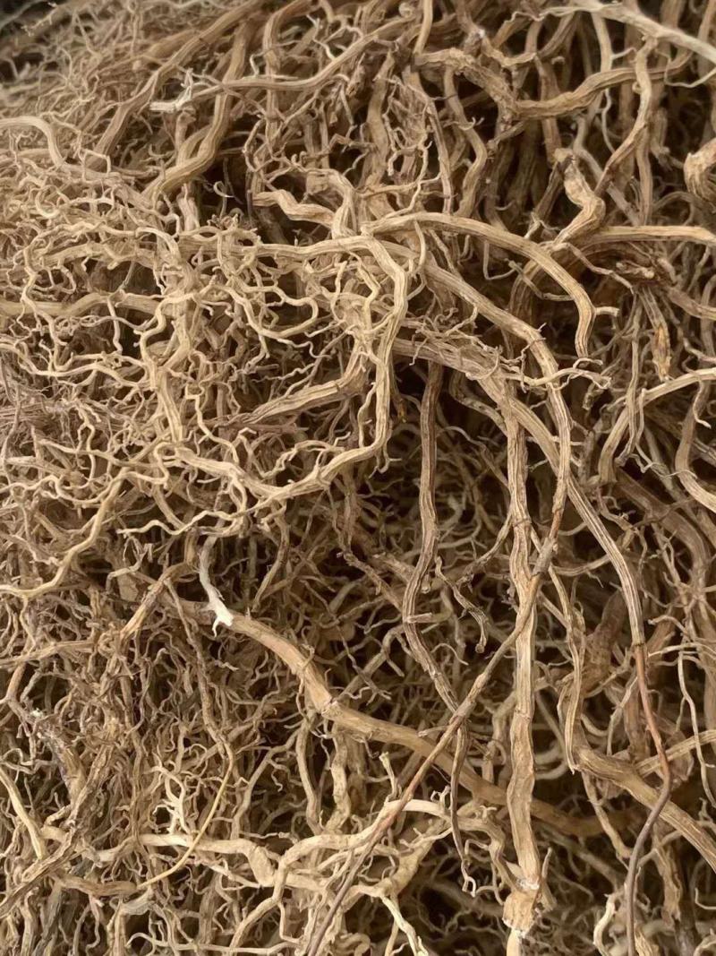牛尾菜【包邮】三斤起发货可批量可零售量大从优