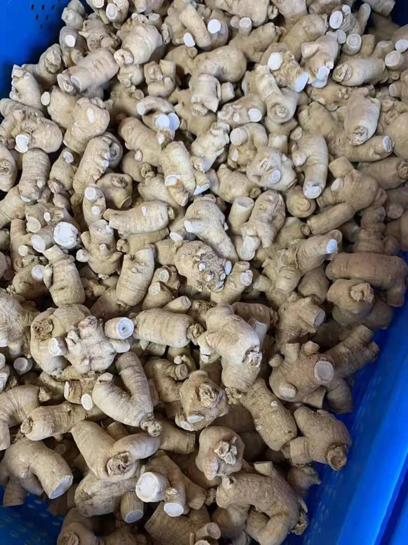 西洋参粒头，质量品质嘎嘎好，自己修剪一手货，电联下单