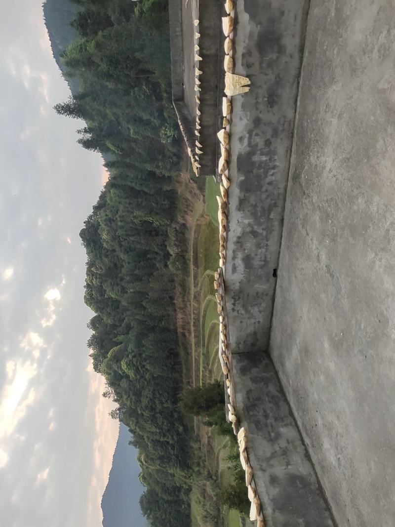 竹笋，笋干，干笋，自制笋干