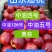 山东油桃四号中油126红油新鲜上市口感脆甜耐