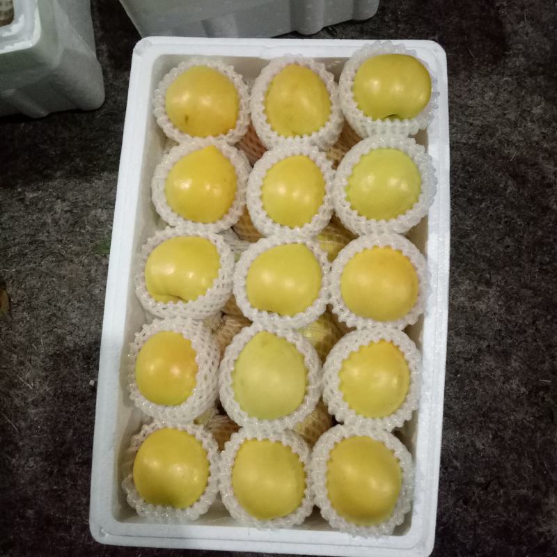 山东油桃四号中油126红油新鲜上市口感脆甜耐