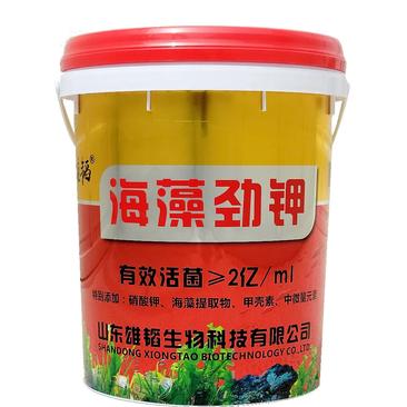 20公斤海藻劲钾高钾配方膨果增加产量提高品质