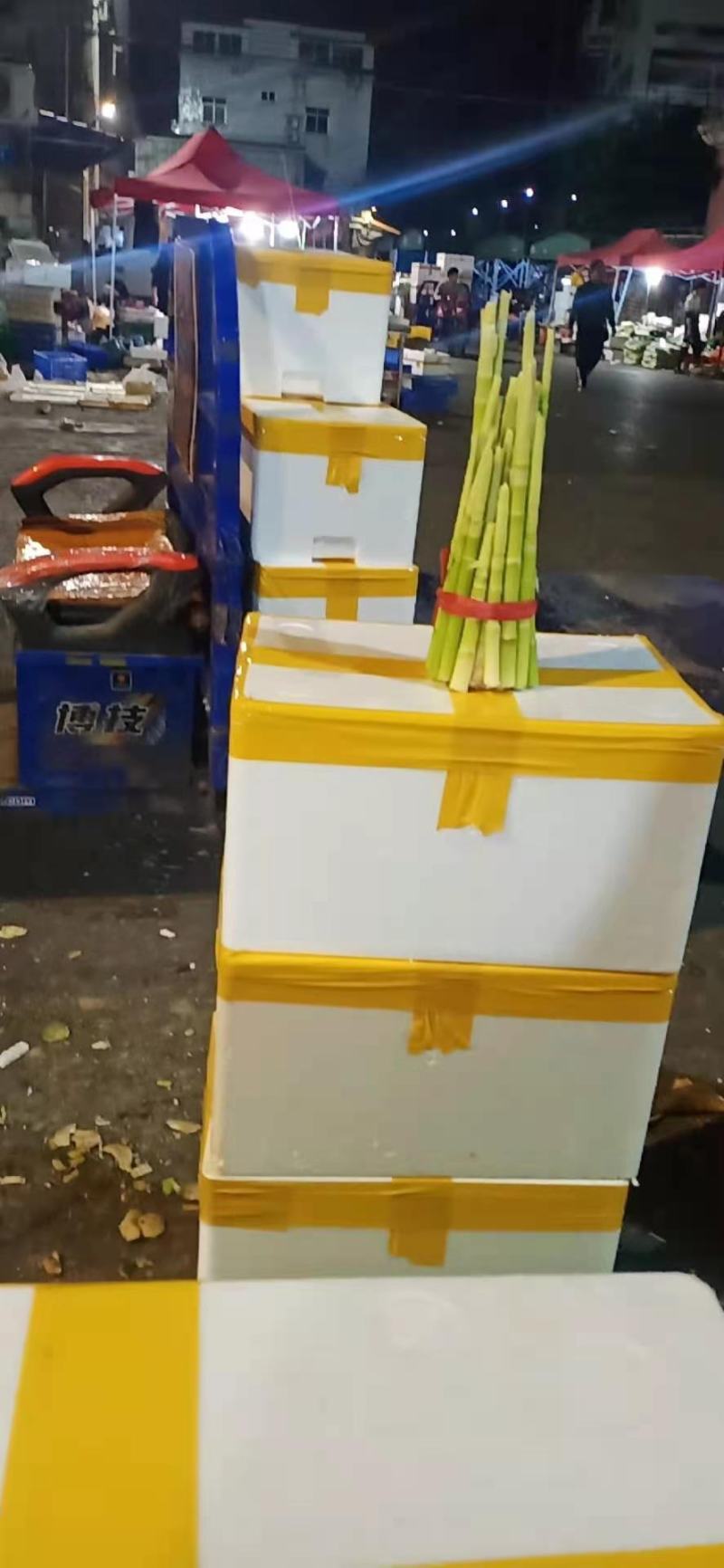 湘西深山野生小山竹笋，一手货源，品质保证